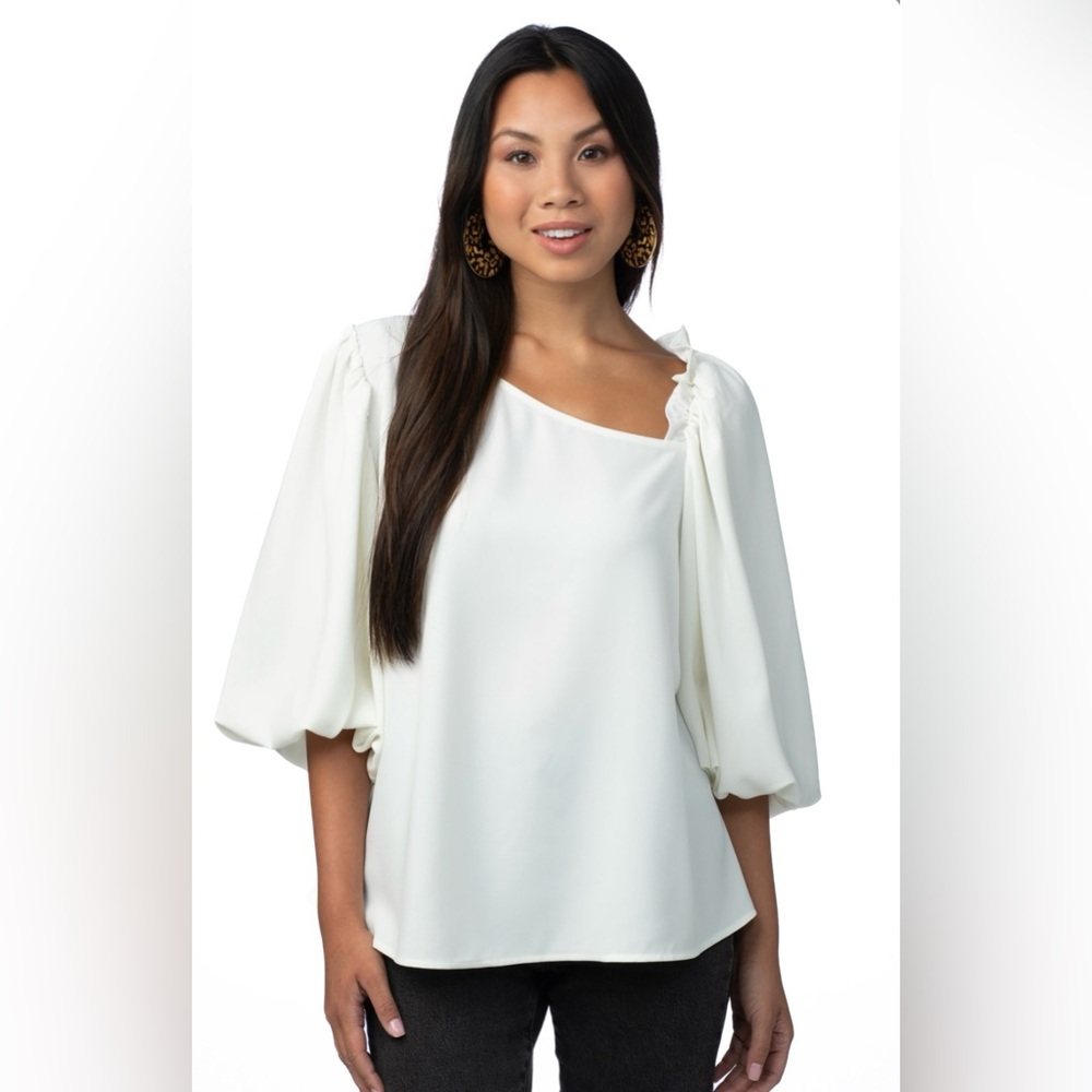 Crosby by Mollie Burch Hollis Top - NWT